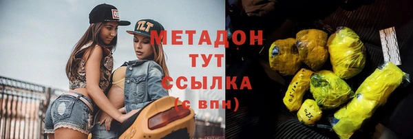шишки Абаза