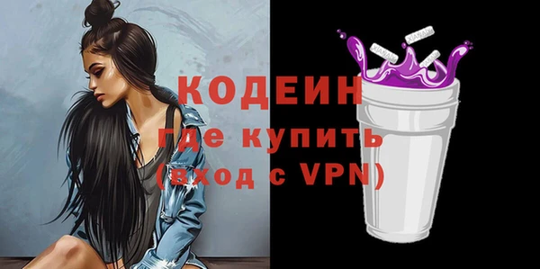 шишки Абаза