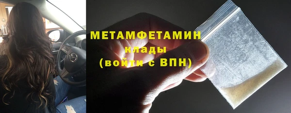 шишки Абаза