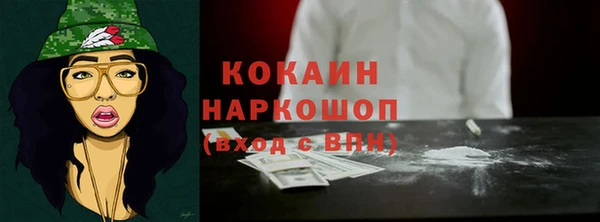 шишки Абаза