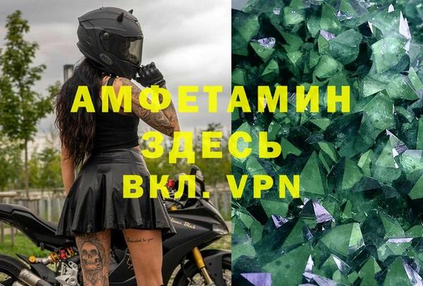 шишки Абаза