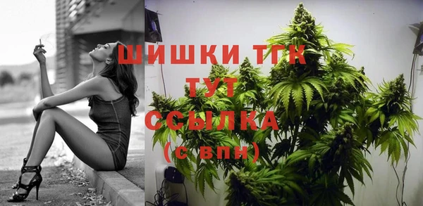 СК Абинск