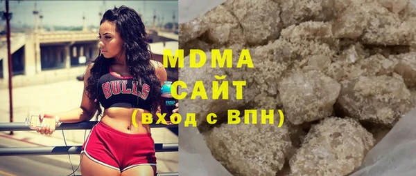 шишки Абаза
