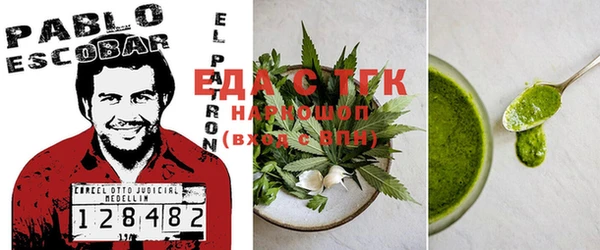 шишки Абаза