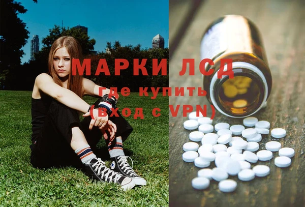 шишки Абаза